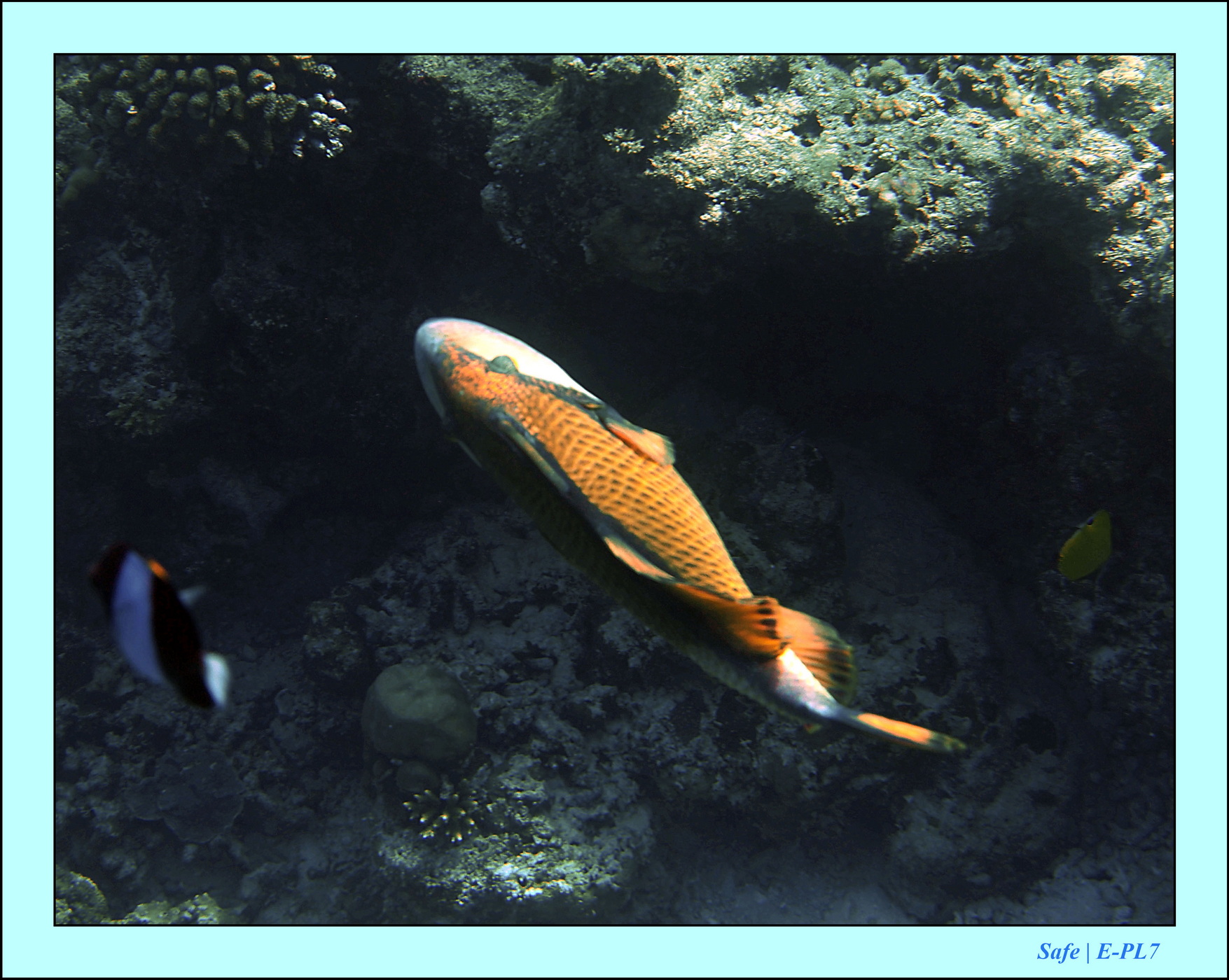 2023 - 07 - Sandies Bathala - 161